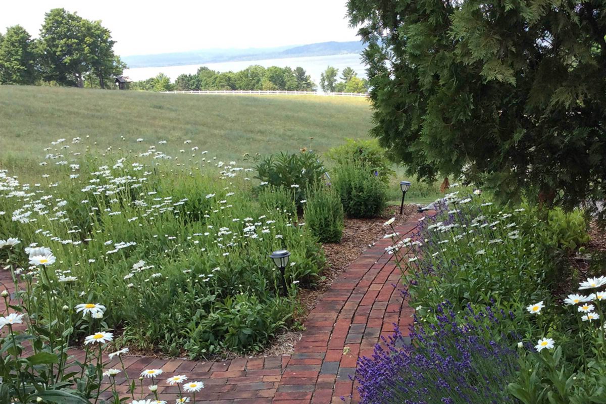 Brick Pathway